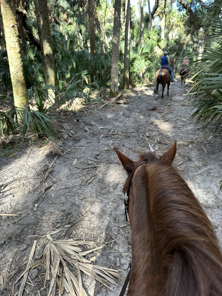 Walton Ranch Preserve Image