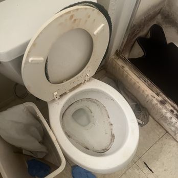 JLK Cleaning - Grimy toilet and mold on the floor. - Home Cleaning Near Me JLK Cleaning - Grimy toilet and mold on the floor. - Home Cleaning Near Me