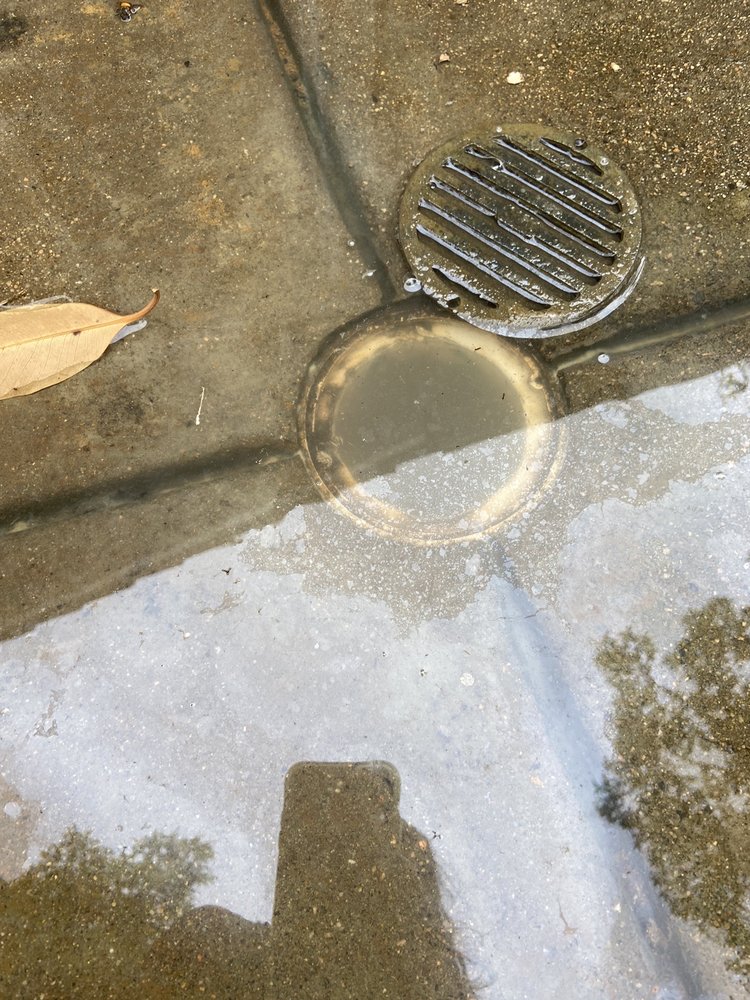 GREENSTAR HOME SERVICES / RESCUE ROOTER 31 Photos & 291 Reviews 740