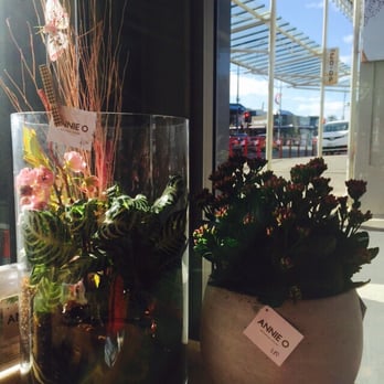 The Department Store - With flowers by hand - Department Stores Near Me - Auckland, AUK The Department Store - With flowers by hand - Department Stores Near Me - Auckland, AUK