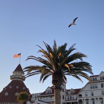 Hotel del Coronado, Curio Collection by Hilton - Flying high! @Hotel Del Coronado San Diego CA Fri 11/25/22 - Coronado, CA
