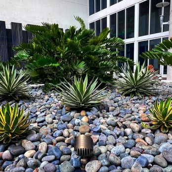 Epic Landscaping - Plants and lighting - Landscaping Near Me - Southwest Ranches, Florida Epic Landscaping - Plants and lighting - Landscaping Near Me - Southwest Ranches, Florida