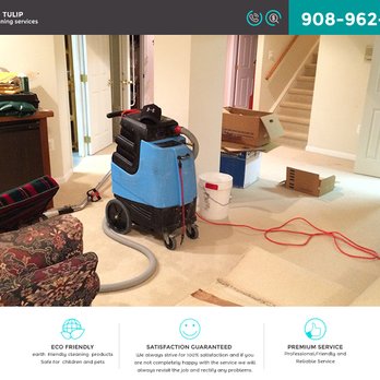 Tulip Carpet Cleaning Elizabeth - Move Outhouse Cleaning - Carpet Cleaning Near Me - Elizabeth, New Jersey Tulip Carpet Cleaning Elizabeth - Move Outhouse Cleaning - Carpet Cleaning Near Me - Elizabeth, New Jersey