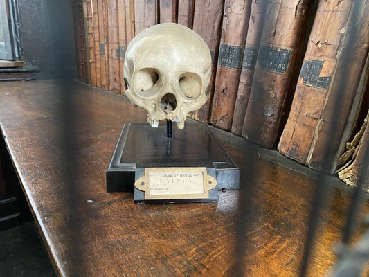 Marsh’s Library by null