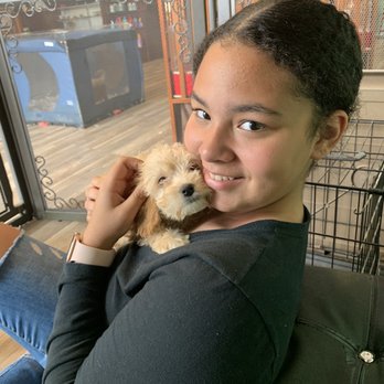 Vanity Pups - Pet Groomers Near Me