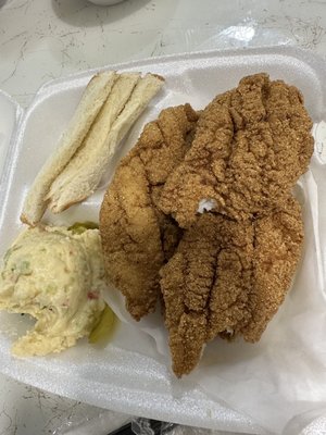 Barrow’s Catfish - Harvey by null