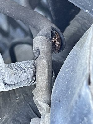 Bryan College Station Toyota