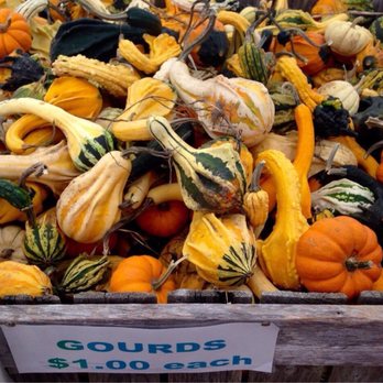 ADAM'S FARM - Pumpkin Patches Near Me - Cumberland, Rhode Island