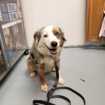 Pooch Parlor - Pet Groomers Near Me - Yuma, Arizona Pooch Parlor - Pet Groomers Near Me - Yuma, Arizona