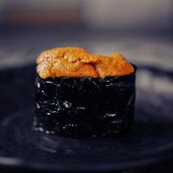 Kiko Sushi Bar - Sea Urchin
