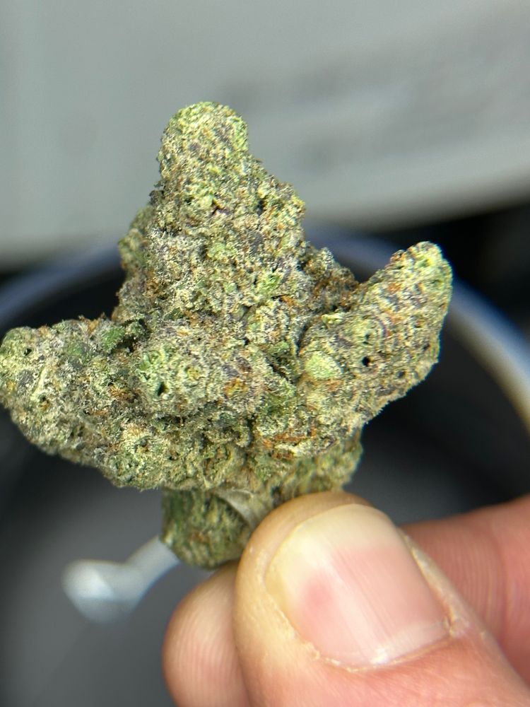 DANKESUPER 68 Photos 21 Dunham Pl, Brooklyn, New York Cannabis Dispensaries Phone Number