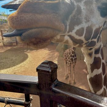 Cheyenne Mountain Zoo - Zoos Near Me - Colorado Springs, Colorado Cheyenne Mountain Zoo - Zoos Near Me - Colorado Springs, Colorado