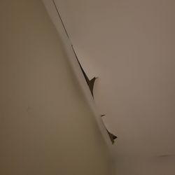 Sleep Inn Henderson-Evansville South - Pealing walls