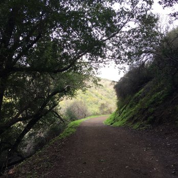Novitiate Park - Along the flume or Jones trail - Hiking Near Me - Los Gatos, California Novitiate Park - Along the flume or Jones trail - Hiking Near Me - Los Gatos, California