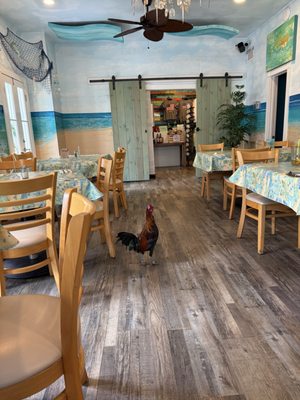 Rams Head Southernmost by null