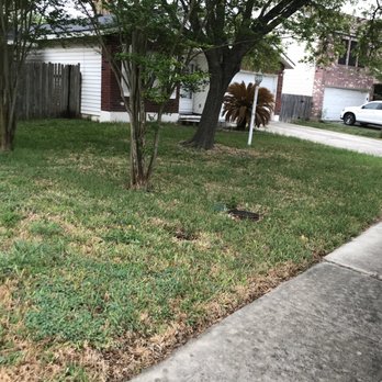 Quick Cuts Plus - a yard with grass and trees - Landscaping Near Me Quick Cuts Plus - a yard with grass and trees - Landscaping Near Me