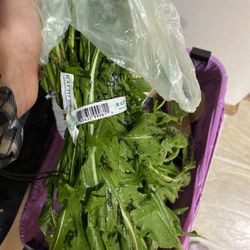 Giant Eagle - SLUDGY dandelion greens, dripping rotten leaves and mush. Absolutely disgusting.
