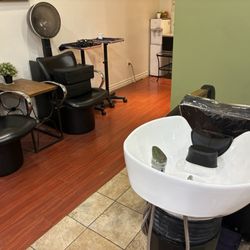 Hair News - Hair wash station (Feb 2026)