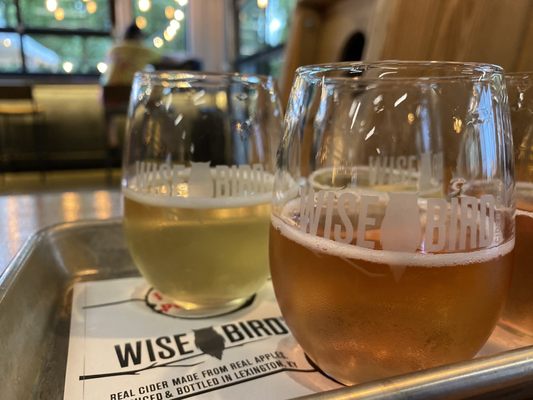 Wise Bird Cider Co. by null