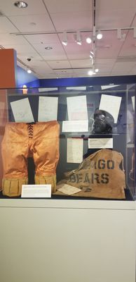 National Czech & Slovak Museum & Library by null