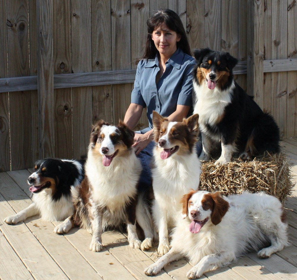 SAMS DOG TRAINING CENTER Updated June 2024 Request Consultation