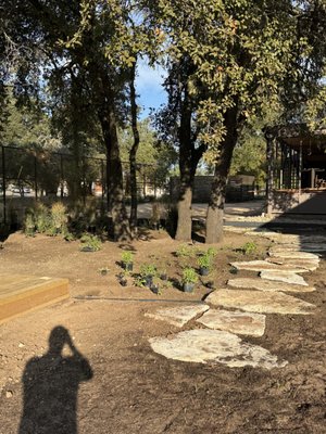 La Dosis Coffee + Cocktails by null