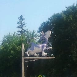 Udder Cow