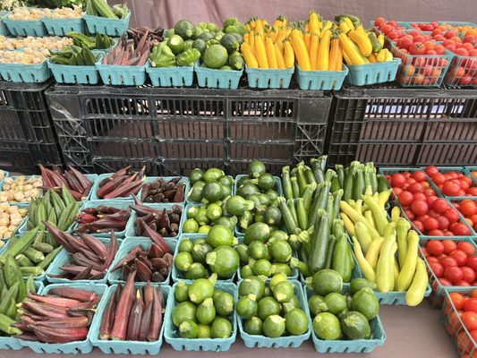 South Pasadena Farmer's Market by null