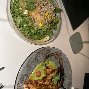 Albi - Octopus - Mediterranean Near Me - Houston, Texas