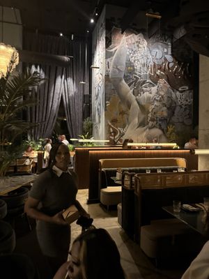 V Modern Italian by null