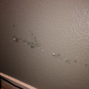 Bermuda Terrace - Mold again - Apartments Near Me - Las Vegas, Nevada
