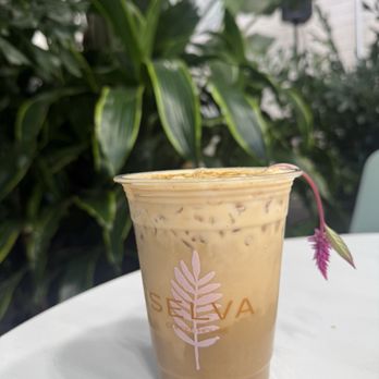 Selva Coffee House - To Die For - Coffee Roasteries Near Me - San Diego, California