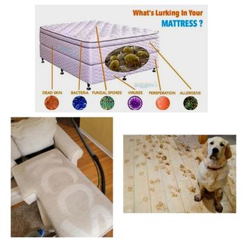 Knight's Coastal Cleaning Solution's - Carpet Cleaning Near Me - Pascagoula, Mississippi Knight's Coastal Cleaning Solution's - Carpet Cleaning Near Me - Pascagoula, Mississippi