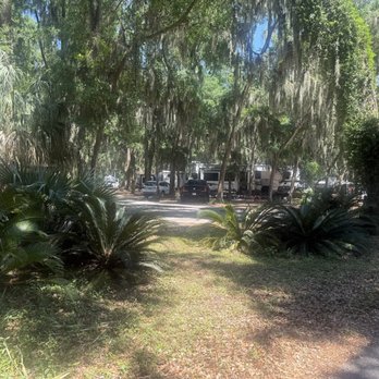 Jekyll Island Campground - General campground view - Campgrounds Near Me - Jekyll Island, Georgia Jekyll Island Campground - General campground view - Campgrounds Near Me - Jekyll Island, Georgia