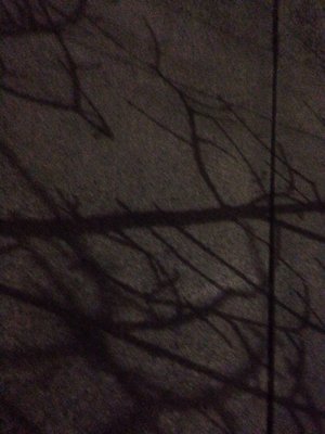 Portland Community College Cascade by null