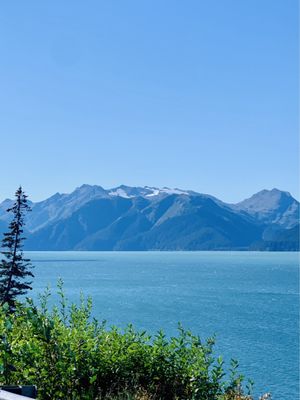 Nauti Otter Inn by null