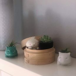 Purchased 2 air plants for my niece that are sitting in the Bulbasaur holder on the sides. LOVE! Purchased 2 air plants for my niece that are sitting in the Bulbasaur holder on the sides. LOVE!