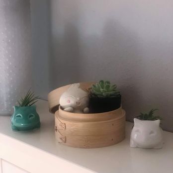 Air Plant Hub - Purchased 2 air plants for my niece that are sitting in the Bulbasaur holder on the sides. LOVE! - Nurseries & Gardening Near Me Air Plant Hub - Purchased 2 air plants for my niece that are sitting in the Bulbasaur holder on the sides. LOVE! - Nurseries & Gardening Near Me