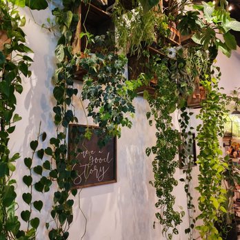 Leafy - Plants - Asian Fusion Near Me - Pembroke Pines, Florida