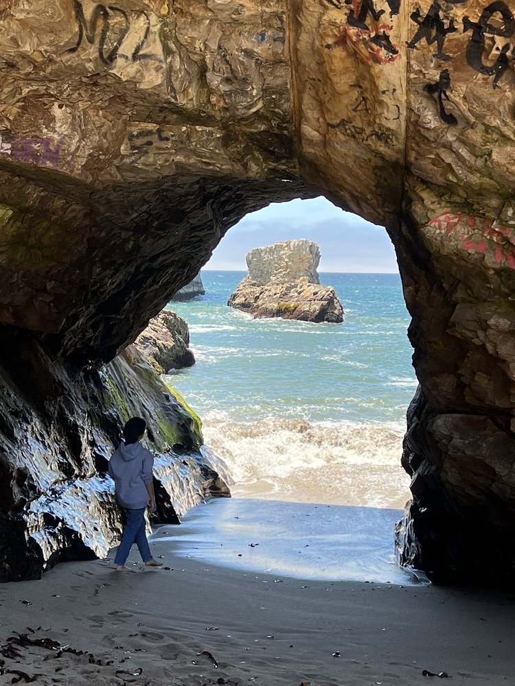 Shark Fin Cove Logo