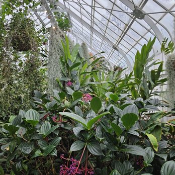 W W Seymour Conservatory - Plants - Botanical Gardens Near Me - Tacoma, Washington W W Seymour Conservatory - Plants - Botanical Gardens Near Me - Tacoma, Washington