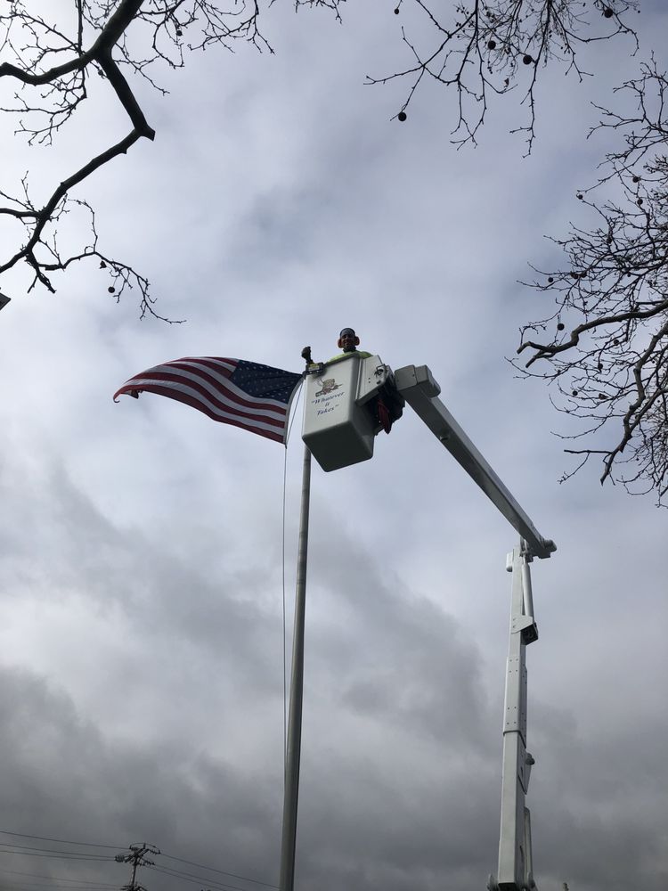 J & S Enterprises - tree service in Murrysville, PA