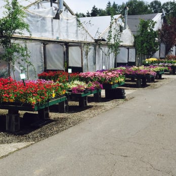 FLOWER WORLD - Updated October 2024 - 274 Photos & 198 Reviews - 9322