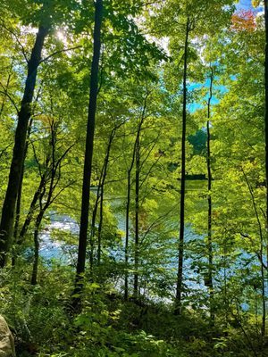Rockefeller State Park Preserve by null