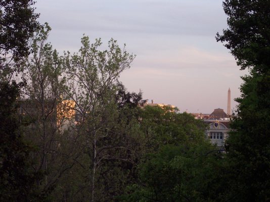 Meridian Hill Park by null