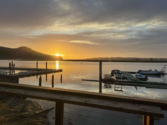 The Salmonberry by null