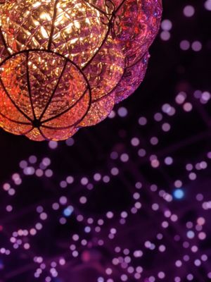 Ghost Donkey - Denver by null