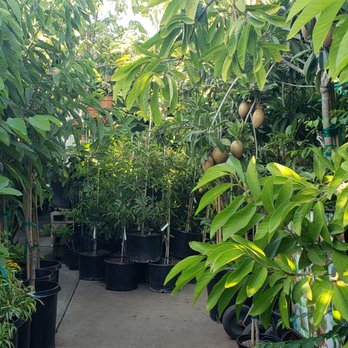 Ong Nursery - Nurseries & Gardening Near Me - San Diego, California Ong Nursery - Nurseries & Gardening Near Me - San Diego, California