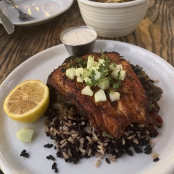 Zinqué - Salmon - French Near Me - Los Angeles, California Zinqué - Salmon - French Near Me - Los Angeles, California