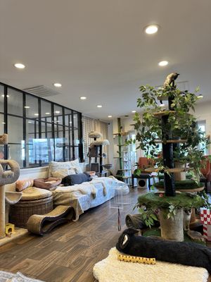 Catty Corner Cafe by null